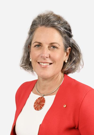 Portrait of Romilly Madew AO FTSE HonFIEAust